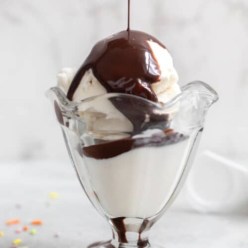 Vegan Frozen Yogurt (without ice cream maker)