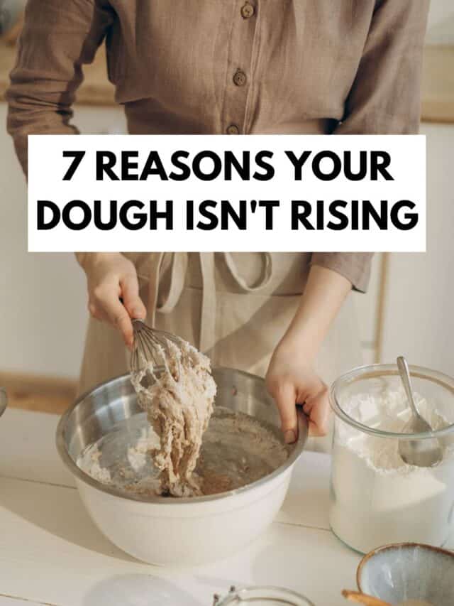 7 Reasons Why Your Dough Isn’t Rising l Nourished with Natalie