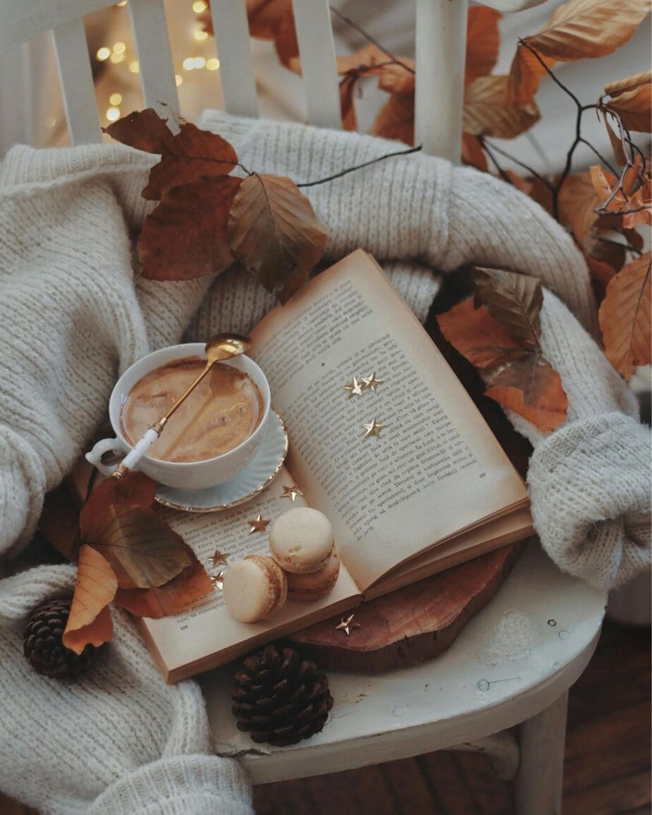 The Best Fall Books to Read this Autumn