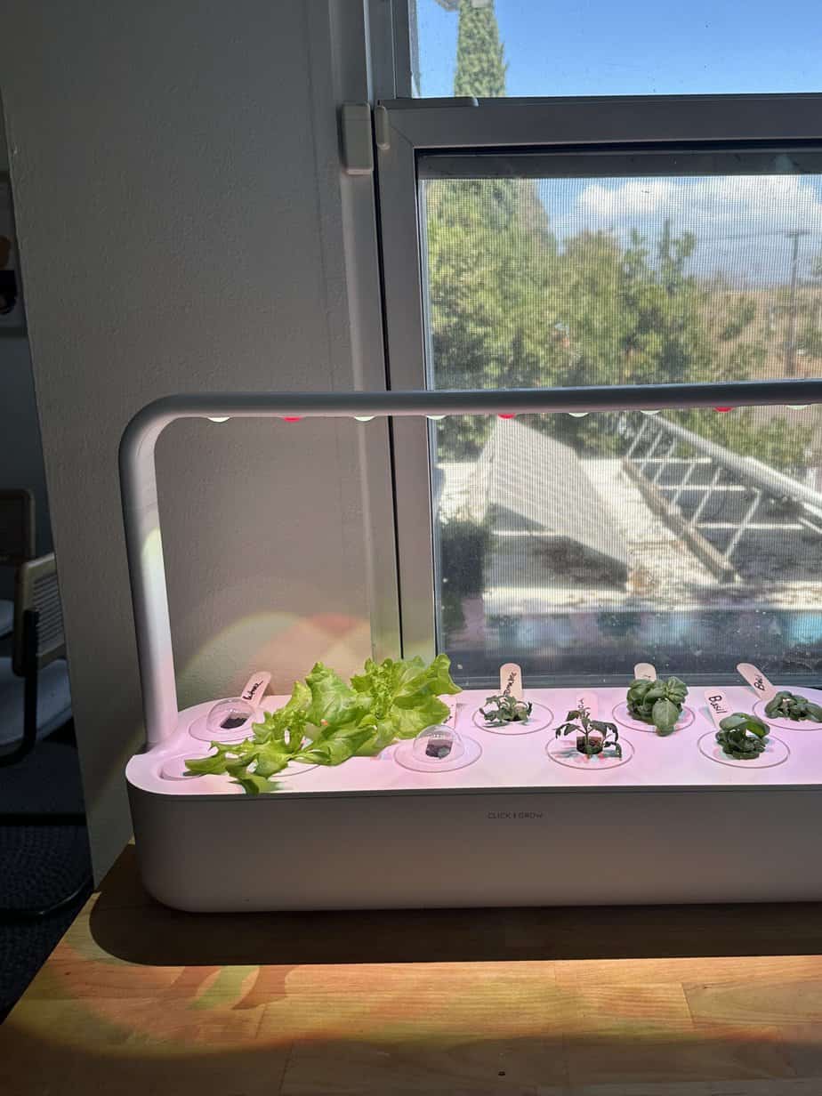 The smart garden with a few sprouts growing in each plant pod.