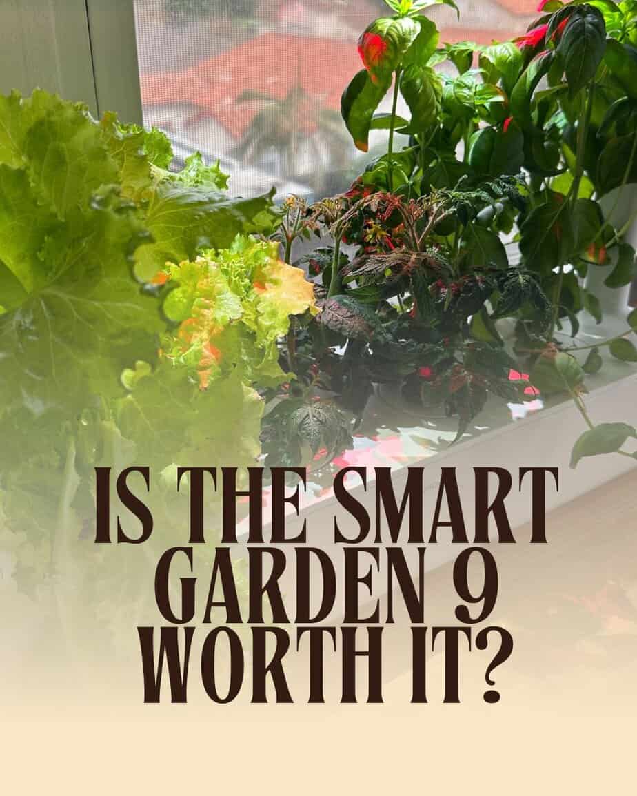 Click & Grow Review (2025): Is the Smart Garden 9 Worth it?