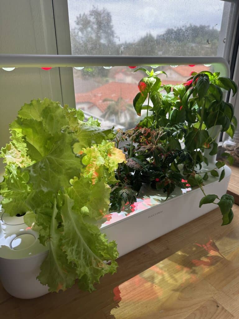 Smart Garden with lettuce, basil, and tomatoes growing