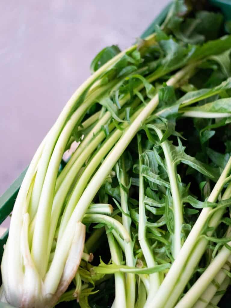 A close up of fennel