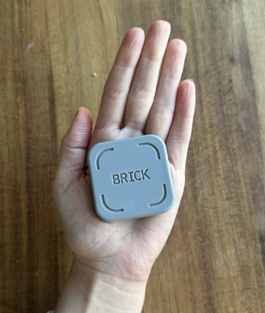 The brick device in the palm of my hand.