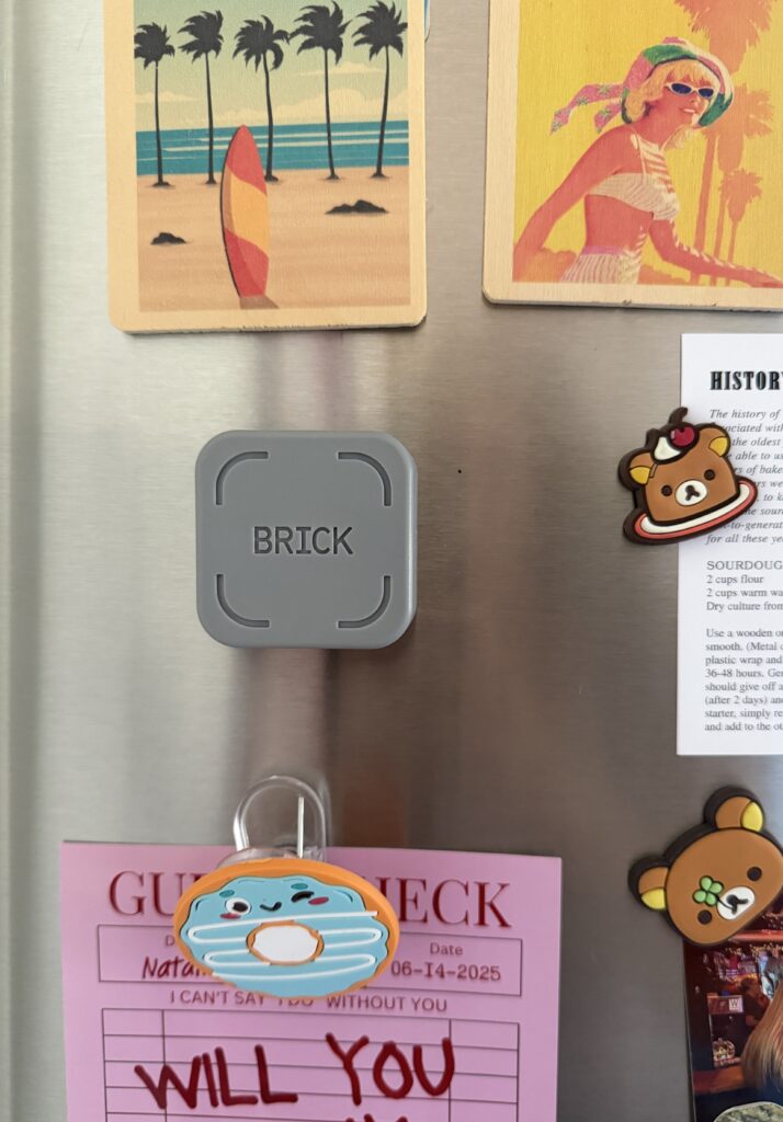 The brick device on my fridge door.