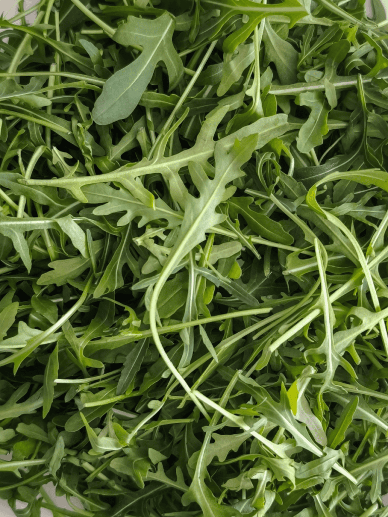 A close up of arugula