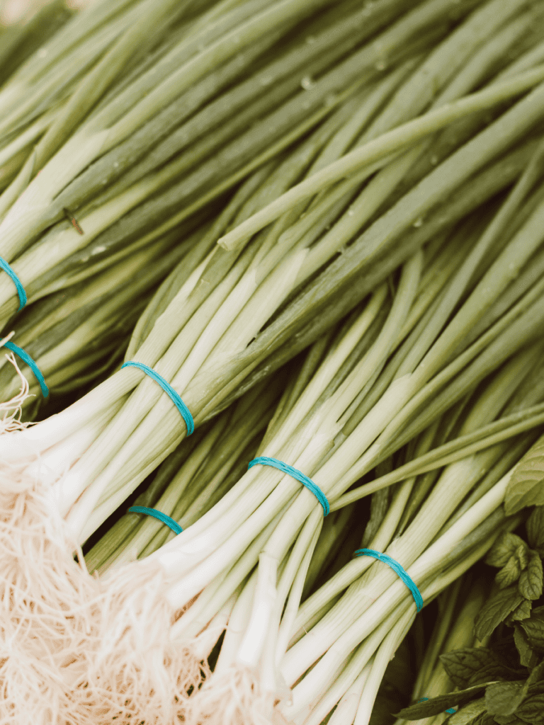 A close up of various bundles of scallions