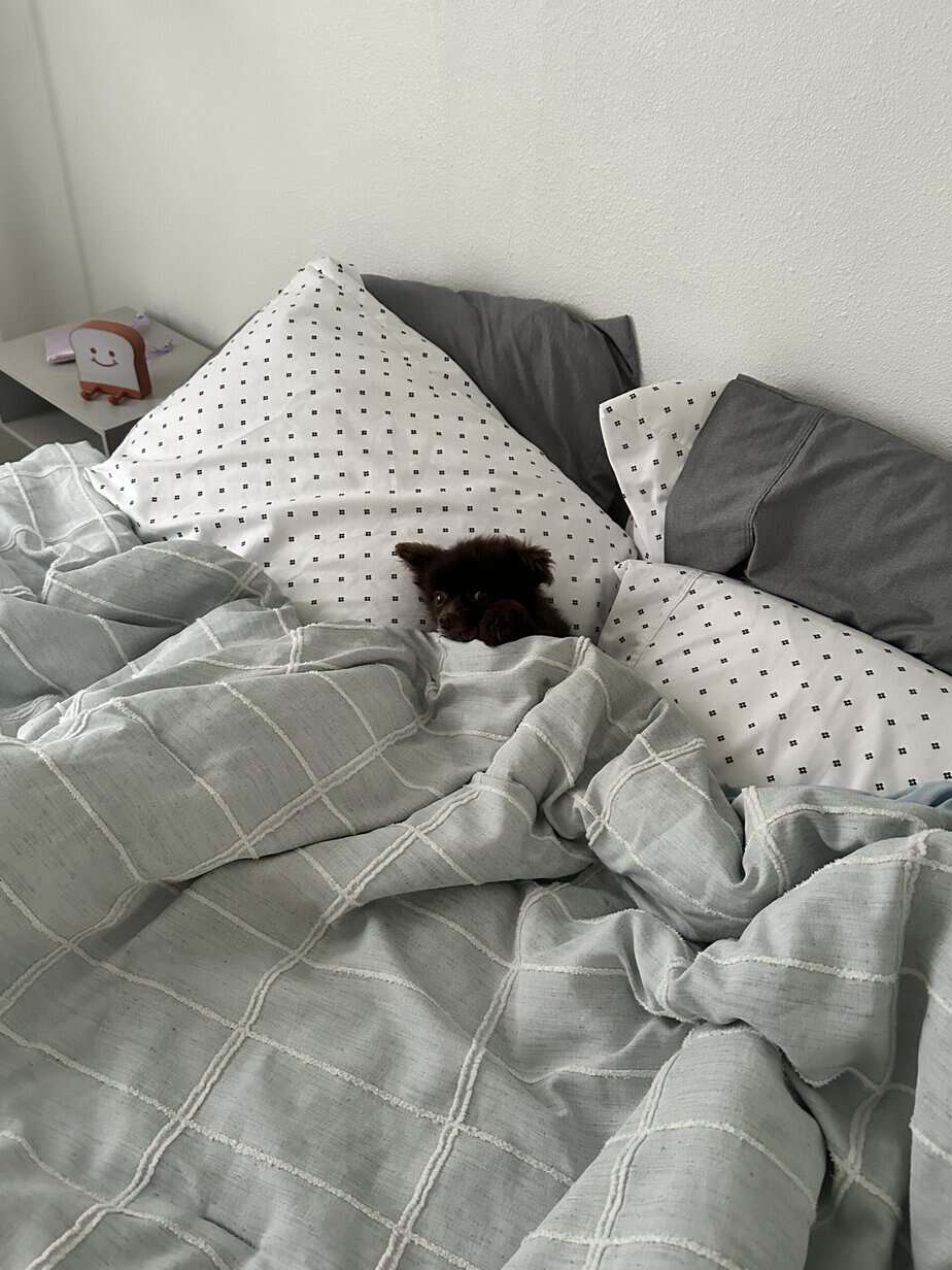 How to Create a Screen-Free Evening Routine for Better Sleep